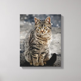 Lienzo Retrato de un gato