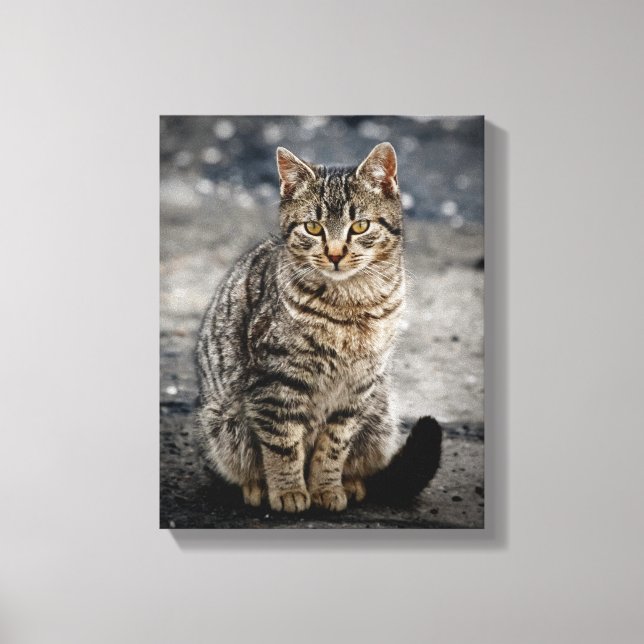 Lienzo Retrato de un gato (Anverso)