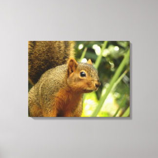 Lienzo Retrato de una fotografía animal de la naturaleza