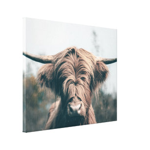 Lienzo Retrato de vaca Highland