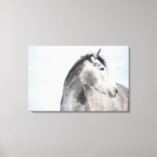 Lienzo retrato del caballo blanco 2