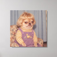 Retrato del día de foto retro de Chihuahua gruñón