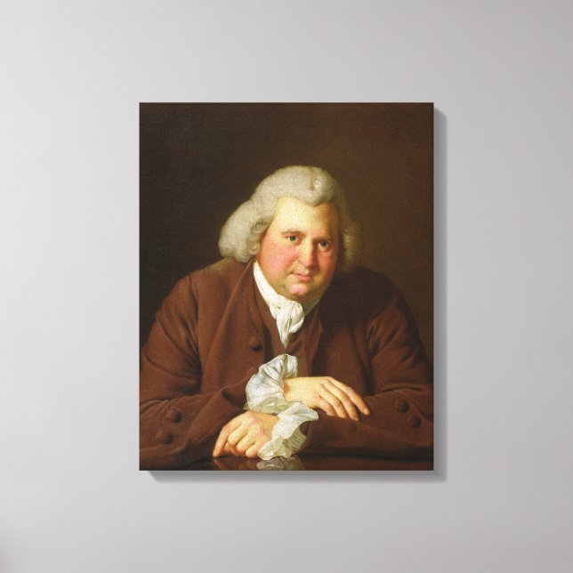 Lienzo Retrato del Dr. Erasmus Darwin (Anverso)
