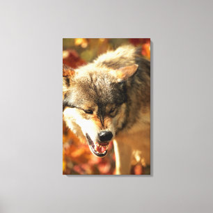 Lienzo Retrato del lobo que gruñe