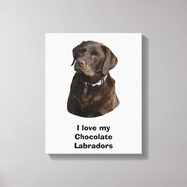 Lienzo Retrato fotográfico de perro Labrador de chocolate (Anverso)