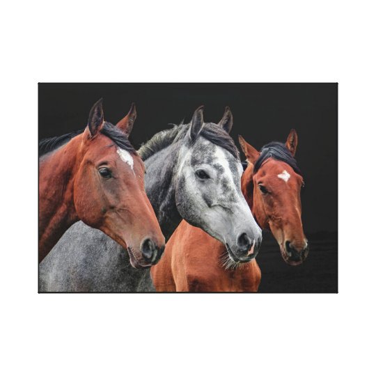 LIENZO RETRATO HERMOSO DE LOS CABALLOS PARA LOS AMANTES