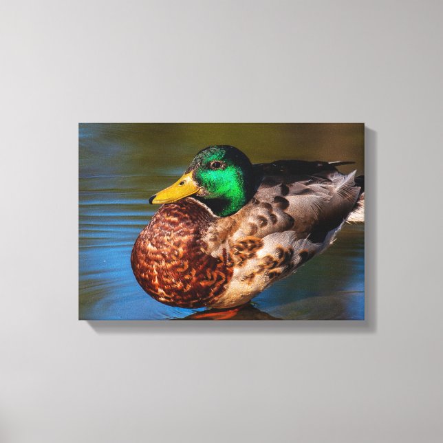 Lienzo Retrato Mallard (Anverso)
