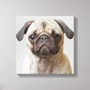 Lienzo Retrato Pug