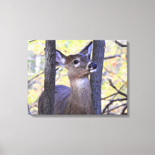 Lienzo Reunión de ciervos en los bosques