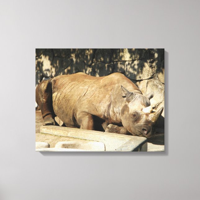 Lienzo Rhino durmiente (Anverso)