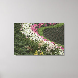 Lienzo Rhododendron (Rhododendron catawbiense) Salud