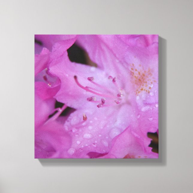 Lienzo Rhododendron Wrapped Canvas (Anverso)
