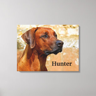 Lienzo Ridgeback Dog Rhodesia