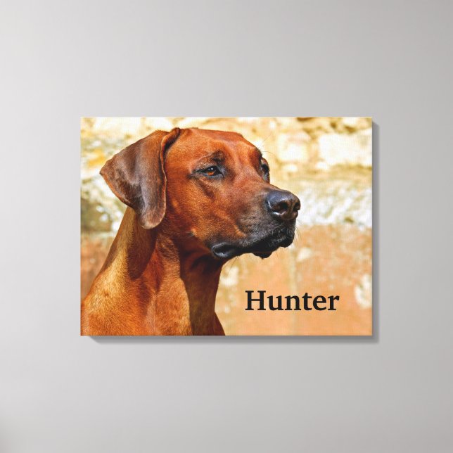 Lienzo Ridgeback Dog Rhodesia (Anverso)