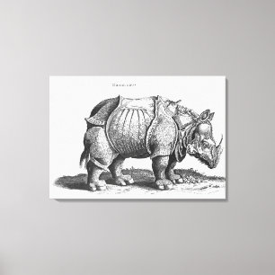 Lienzo Rinoceronte, de 'Historia Animalium