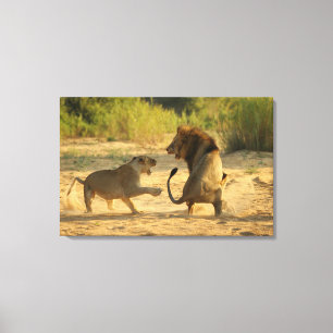 Lienzo Río de Timbavati, parque nacional de Kruger, el