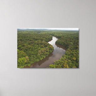 Lienzo Río Essequibo, el río más largo de Guyana, y 4