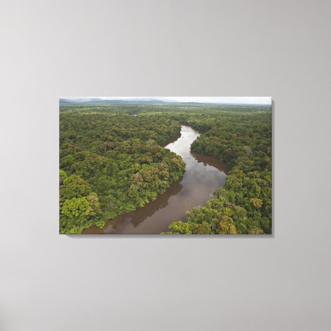 Lienzo Río Essequibo, el río más largo de Guyana, y 4 (Anverso)