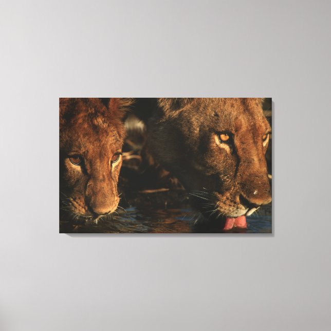 Lienzo Río Khwai, Reserva Natural Moremi, Botswana (Anverso)