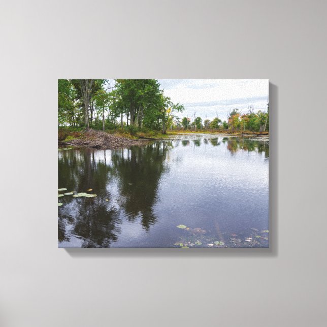 Lienzo río missisquoi a través de refugio de vida silvest (Anverso)