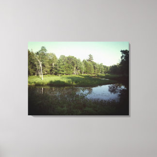 Lienzo Río Reflectivo