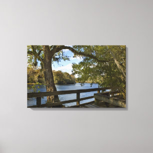 Lienzo Río Suwannee en Hart Springs