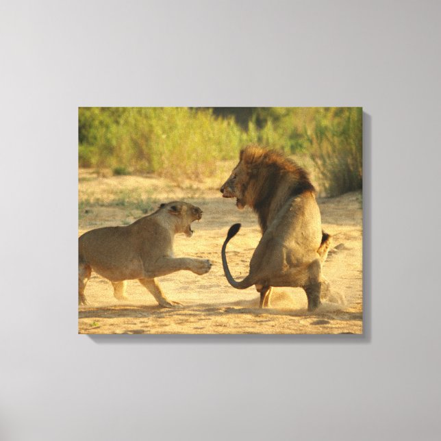 Lienzo Río Timbavati, Parque Nacional Kruger, Limpopo (Anverso)