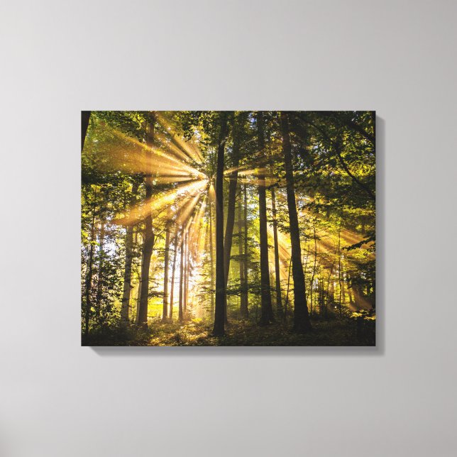 Lienzo Ríos solares forestales encantados 1 (Anverso)