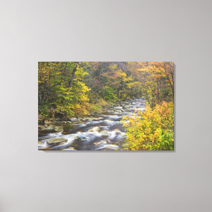 Lienzo Roaring Brook en otoño en el Green de Vermont