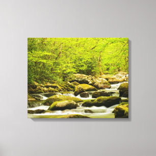 Lienzo Roaring Fork en primavera