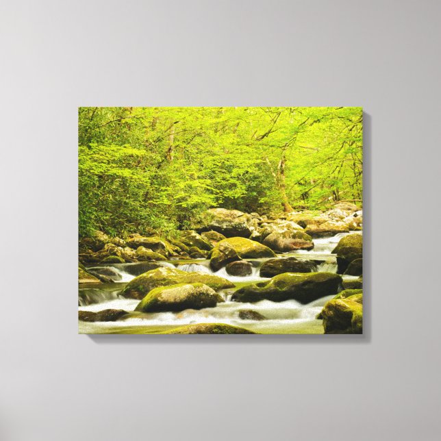 Lienzo Roaring Fork en primavera (Anverso)