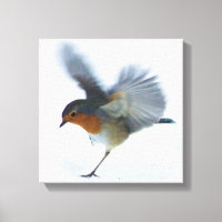 Robin en vuelo