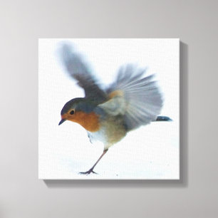 Lienzo Robin en vuelo