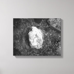 Lienzo Roca blanca y negra en el agua del lago 11x14