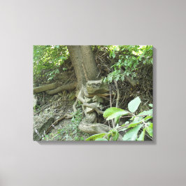 Lienzo Roca en reposo