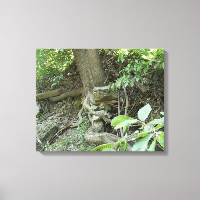 Lienzo Roca en reposo (Anverso)