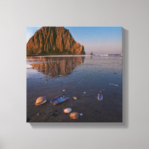 Lienzo Roca Morro Refleja En Arena Occidental