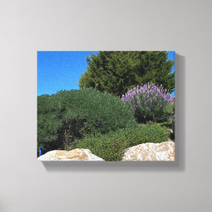 Lienzo ¡Rocas Lupine!
