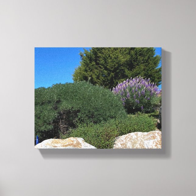 Lienzo ¡Rocas Lupine! (Anverso)
