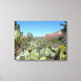 Lienzo Rocas rojas y cactus I