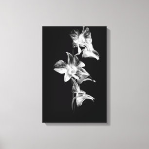 Lienzo Rocío de orquídeas en blanco y negro