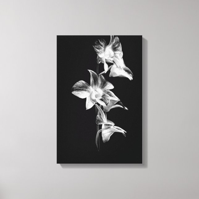 Lienzo Rocío de orquídeas en blanco y negro (Anverso)