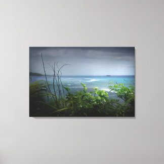 Lienzo Rock de camello