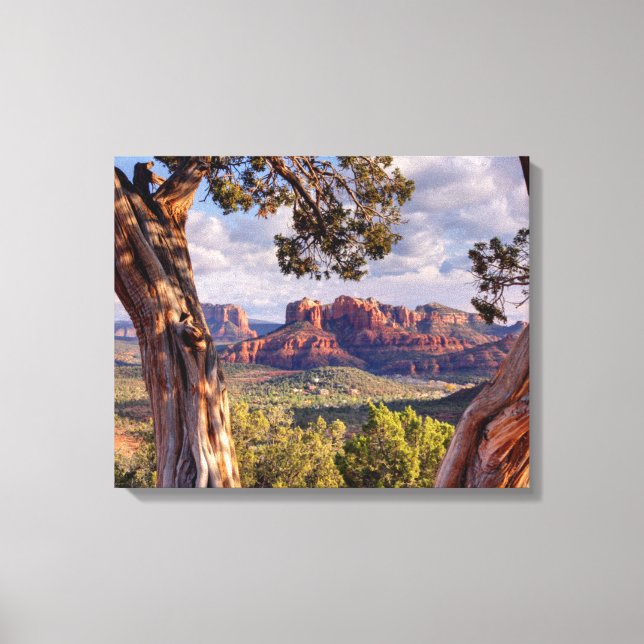 Lienzo Rock Rojo | Sedona Arizona (Anverso)