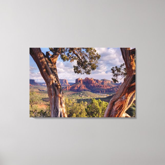 Lienzo Rock Rojo | Sedona Arizona (Anverso)