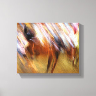 Lienzo Rodeo abstracto