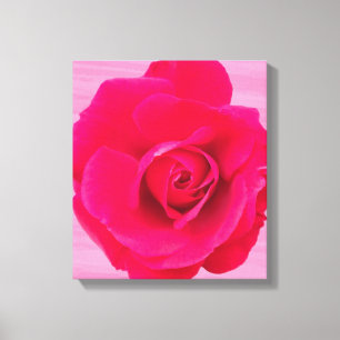 Lienzo Rojo Romántico Rosa Rosada v2