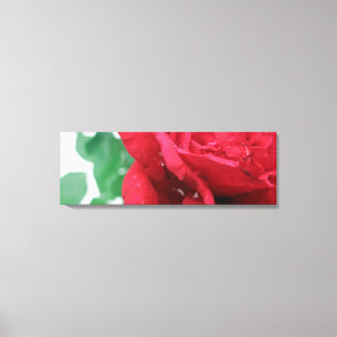 Lienzo Rojo rosa