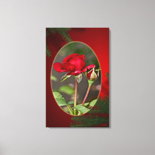 Lienzo Rojo rosa y "Bud" dy - Navidades