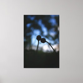 Lienzo Romantic Flowers – Botanical Fantasy Boho